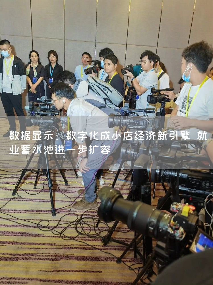 数据显示：数字化成小店经济新引擎 就业蓄水池进一步扩容(图1)
