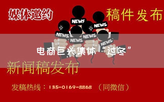 电商巨头集体“过冬”(图1) 电商巨头集体“过冬”(图1)