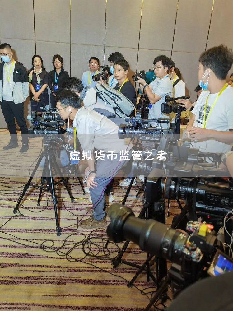 虚拟货币监管之考(图1) 虚拟货币监管之考(图1)