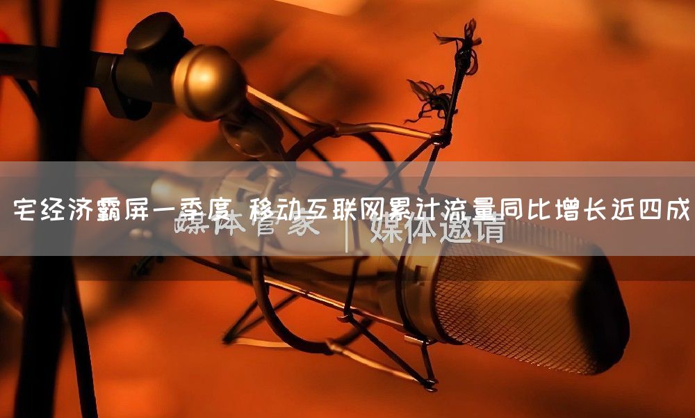 宅经济霸屏一季度 移动互联网累计流量同比增长近四成