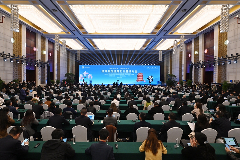 进博会走进湖北 “支点”发力“链接”全球