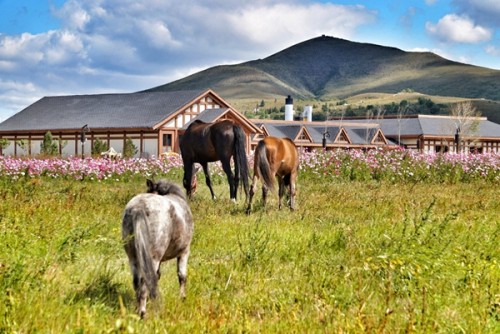 中国报道“祖国,你好”主题摄影大赛京津冀赛区在中国马镇启动(图7) 中国报道“祖国,你好”主题摄影大赛京津冀赛区在中国马镇启动(图7)