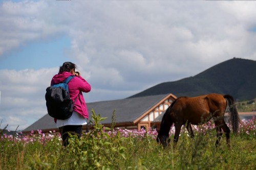 中国报道“祖国,你好”主题摄影大赛京津冀赛区在中国马镇启动(图5) 中国报道“祖国,你好”主题摄影大赛京津冀赛区在中国马镇启动(图5)