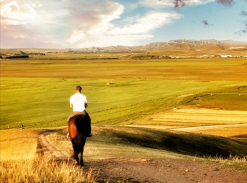 中国报道“祖国,你好”主题摄影大赛京津冀赛区在中国马镇启动(图8) 中国报道“祖国,你好”主题摄影大赛京津冀赛区在中国马镇启动(图8)